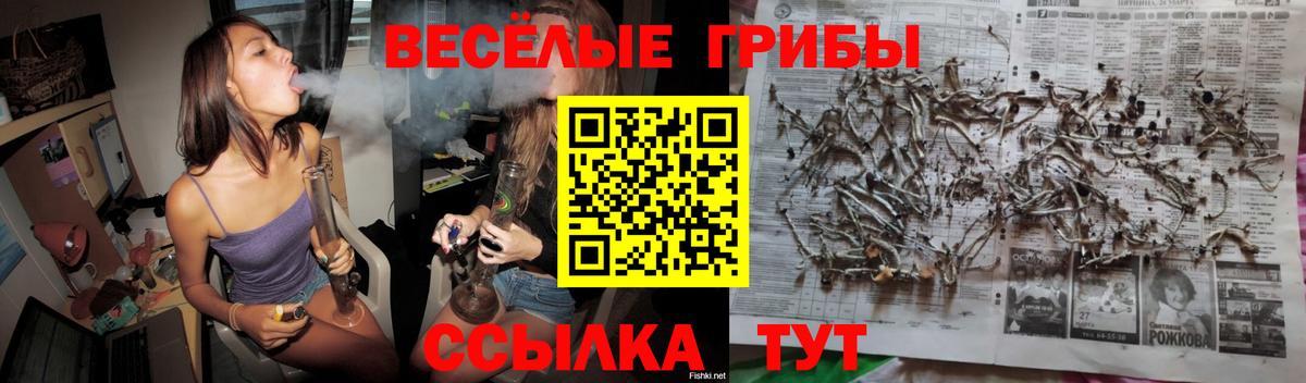 Реж  Галлюциногенные грибы Psilocybine cubensis  Вход с VPN 